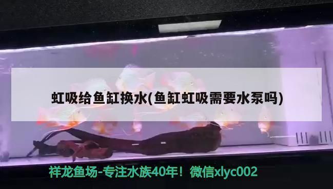 虹吸給魚(yú)缸換水(魚(yú)缸虹吸需要水泵嗎)