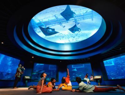 水族館多大帶去看有意義（帶孩子參觀水族館是一個寓教于樂的活動）