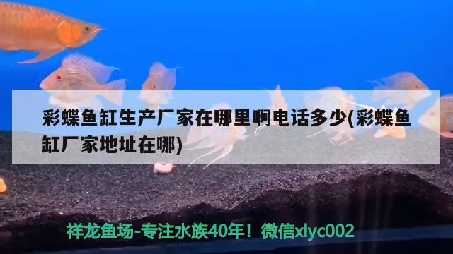 彩蝶魚缸生產廠家在哪里啊電話多少(彩蝶魚缸廠家地址在哪)