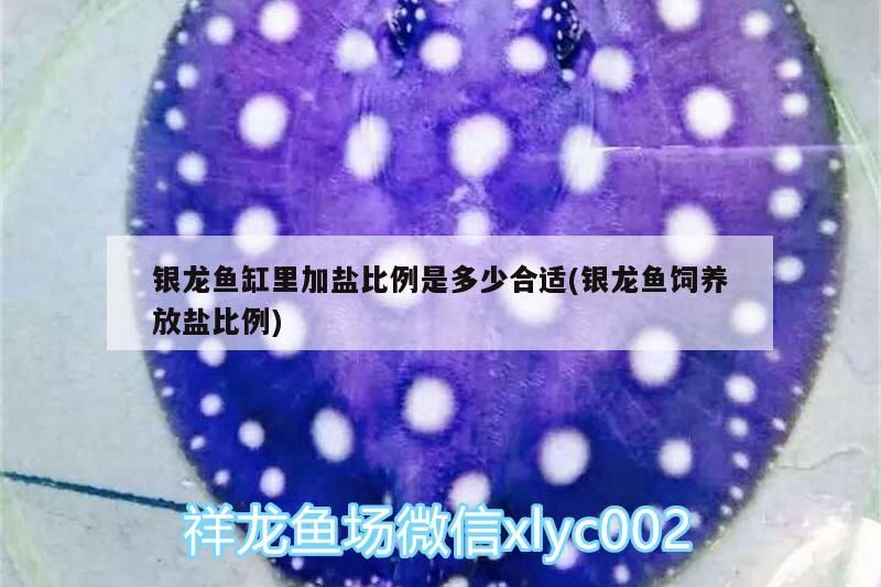 銀龍魚缸里加鹽比例是多少合適(銀龍魚飼養放鹽比例)