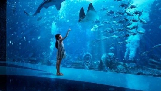 海南的水族館(三亞亞特蘭蒂斯水族館)