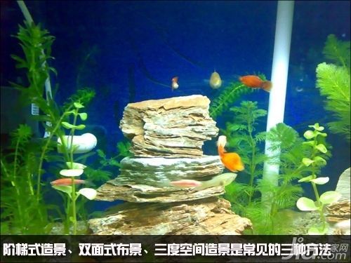 魚缸價錢計算公式，魚缸尺寸與價格關(guān)系
