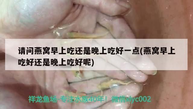 魚缸價錢計算公式，魚缸尺寸與價格關(guān)系