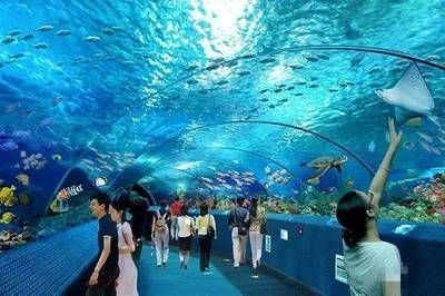 長沙水族館，長沙海底世界開放時間開放時間長沙海底世界開放時間
