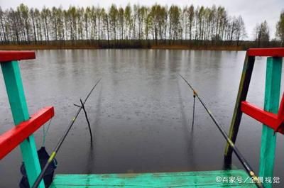 紅龍魚吃什么發色最好圖片(紅龍魚什么溫度最適合發色)
