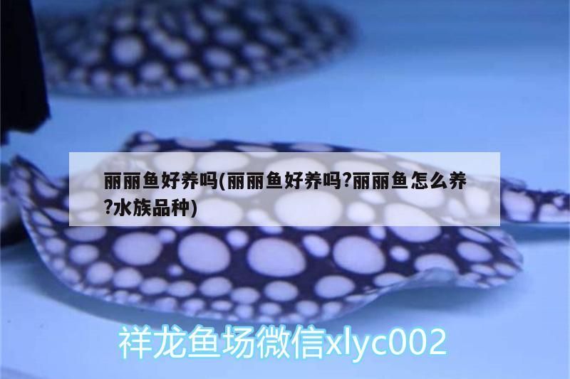 麗麗魚好養嗎(麗麗魚好養嗎?麗麗魚怎么養?水族品種)
