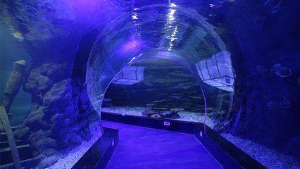 水族館隧道設計的環保材料選擇（新型環保材料——生態復合材料）