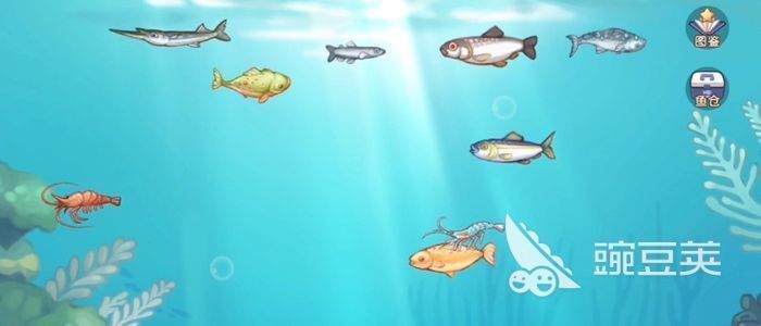 水族館適合開到哪里去呢（商業街步行街或小區密集區開設水族館的選址應考慮多個因素）