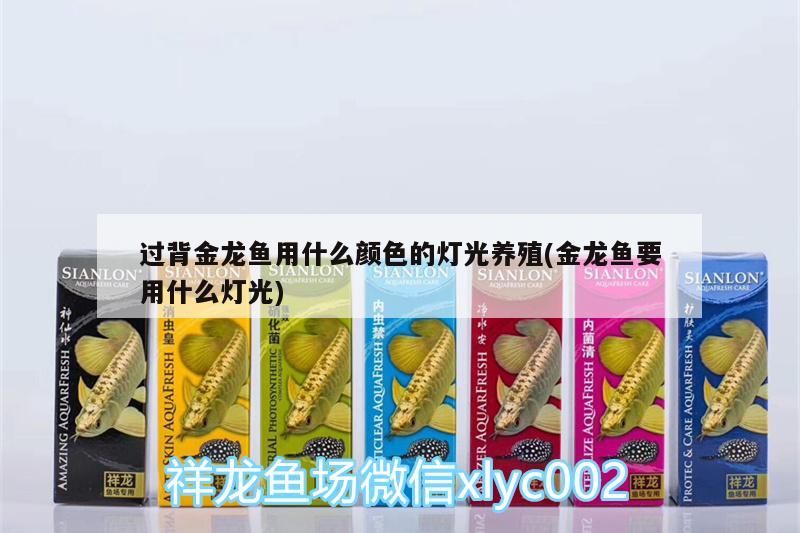 過背金龍魚用什么顏色的燈光養殖(金龍魚要用什么燈光)