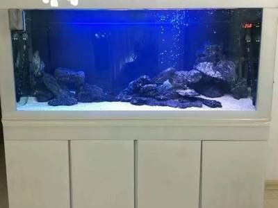 觀景魚缸多久換次水，冬季觀景魚缸換水注意事項