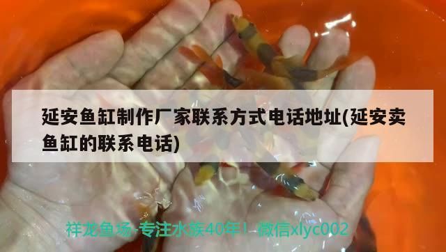 延安魚缸制作廠家聯系方式電話地址(延安賣魚缸的聯系電話)