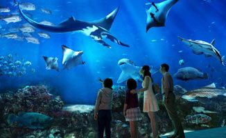 水族館主營業務：水族館主營業務詳情