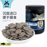 豬鼻龜在哪里買多少錢：豬鼻龜多少錢一只 豬鼻龜在哪里買多少錢：豬鼻龜多少錢一只 豬鼻龜百科 第9張