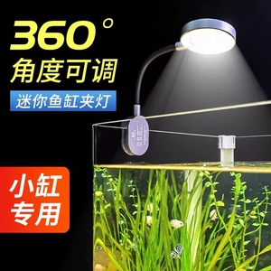 詳細(xì)閱讀:魚缸擺件用什么材料(魚缸擺件用什么材料最好) 魚缸擺件用什么材料(魚缸擺件用什么材料最好)