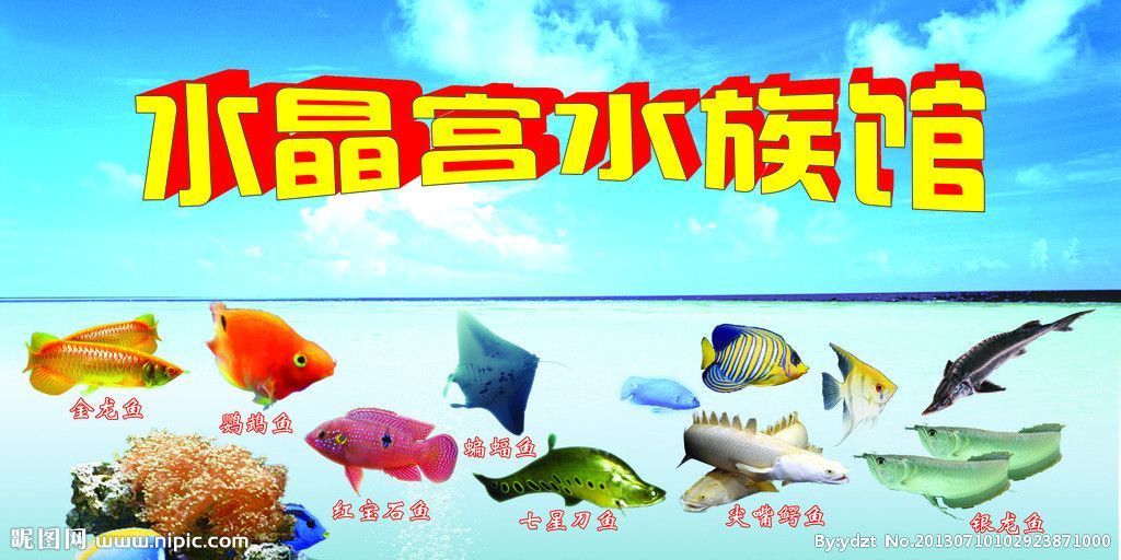 水族館魚類介紹大全圖片（關于水族館魚類的詳細介紹）