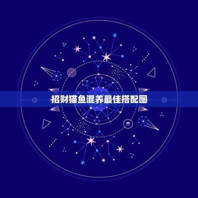 如何選擇招財(cái)貓魚(yú)混養(yǎng)伴侶，招財(cái)貓魚(yú)與金魚(yú)混養(yǎng)伴侶的飼養(yǎng)技巧