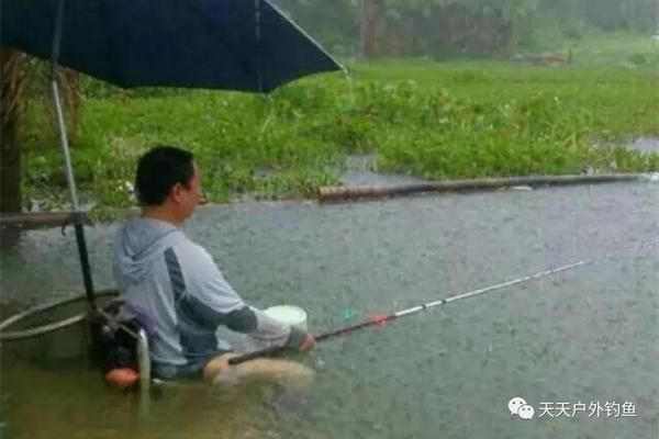 落地魚缸適合養(yǎng)什么魚(落地魚缸適合養(yǎng)什么魚圖片)