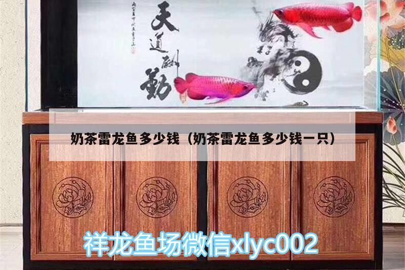紅龍魚立鱗初期需要換水嗎？（如何判斷紅龍魚立鱗病是否嚴重？）