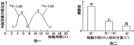 龍魚撞缸的預防方法，原因分析與解決方案，龍魚撞缸的原因、預防措施及解決方案全解析