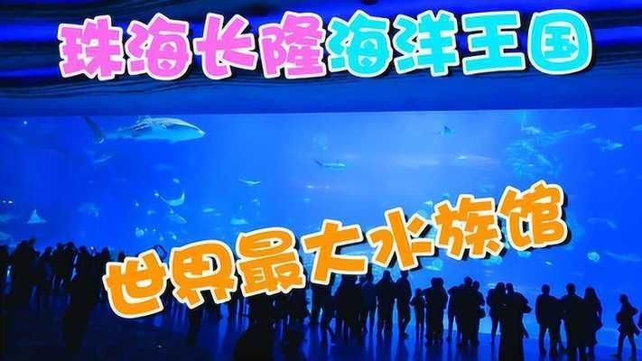 長隆有水族館嗎（探索長隆海洋王國的水族館）