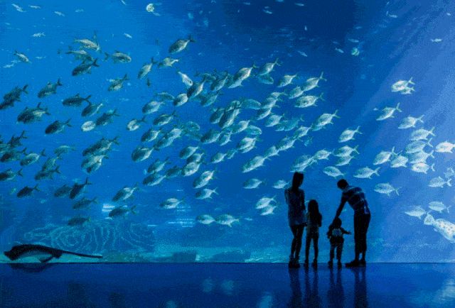 長隆有水族館嗎（探索長隆海洋王國的水族館）