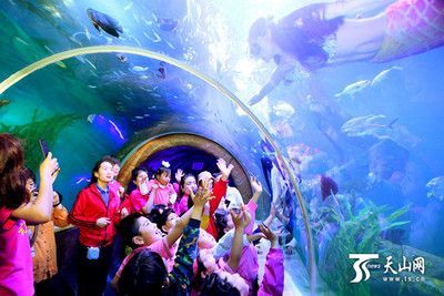 水族館有什么工作內容（水族館環境維護的創新方法,） 水族館有什么工作內容（水族館環境維護的創新方法,） 水族館百科（水族館加盟） 第3張