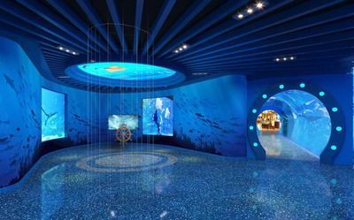 水族館有什么工作內容（水族館環境維護的創新方法,） 水族館有什么工作內容（水族館環境維護的創新方法,） 水族館百科（水族館加盟） 第5張