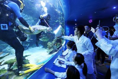 水族館有什么工作內容（水族館環境維護的創新方法,） 水族館有什么工作內容（水族館環境維護的創新方法,） 水族館百科（水族館加盟） 第6張