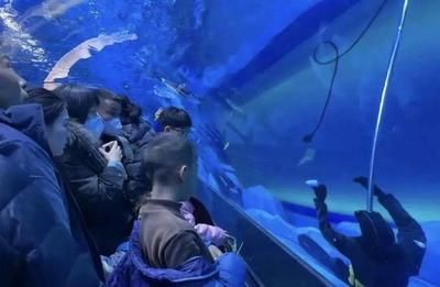 水族館的工作人員是做什么的工作（水族館工作人員工作人員的工作內容和職責內容和職責）