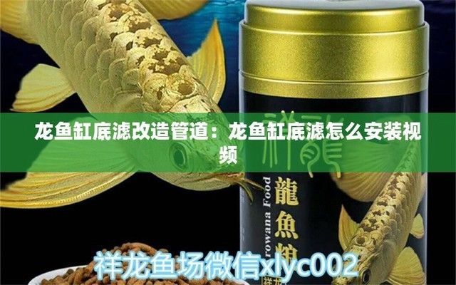 博龍魚缸底濾安裝，博龍魚缸底濾系統安裝步驟