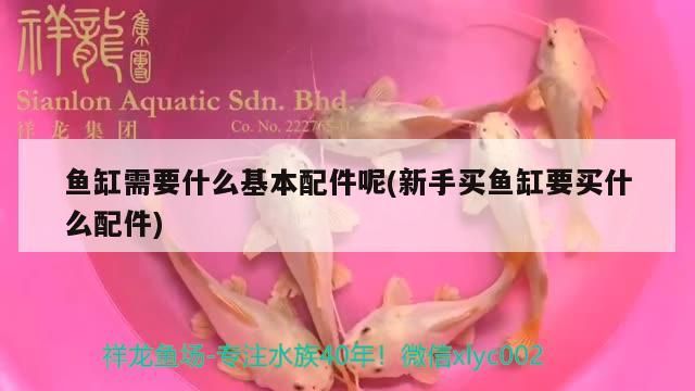 魚缸需要什么基本配件呢(新手買魚缸要買什么配件)