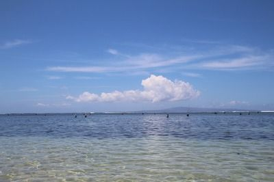 元寶鳳凰魚水質管理方法：元寶鳳凰魚水質管理的常見誤區元寶鳳凰魚水質管理方法