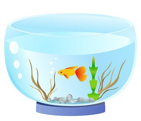 水族館背景配圖（水族館背景配圖的設(shè)計原則）