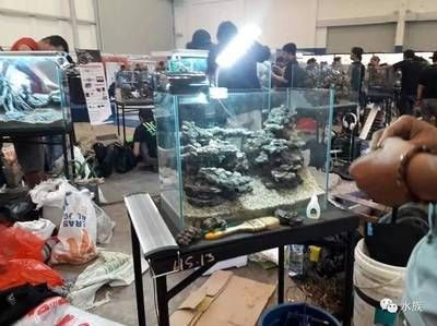 2024年水族展會(huì)時(shí)間及地點(diǎn)：2024年兩個(gè)與水族相關(guān)的展會(huì)時(shí)間和地點(diǎn)