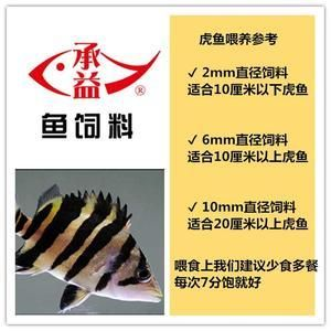 如何判斷四紋虎魚營養是否均衡，如何判斷四紋虎魚的營養是否均衡