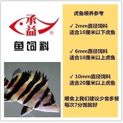 如何判斷四紋虎魚營養是否均衡，如何判斷四紋虎魚的營養是否均衡