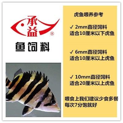 如何判斷四紋虎魚營養是否均衡，如何判斷四紋虎魚的營養是否均衡