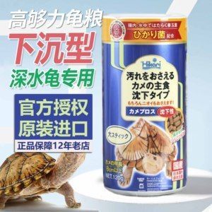 豬鼻龜活體：豬鼻龜的養殖技術 豬鼻龜活體：豬鼻龜的養殖技術 豬鼻龜百科 第6張
