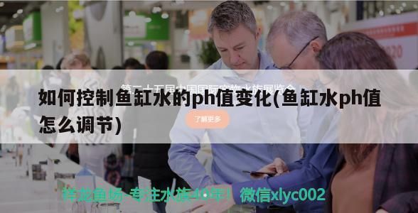 如何控制魚缸水的ph值變化(魚缸水ph值怎么調節)