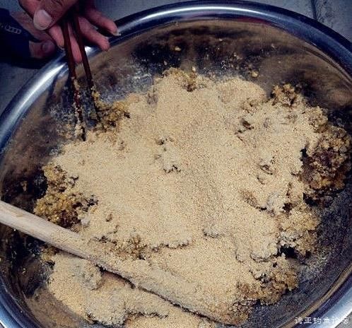 虎魚苗餌料自制方法，自制虎魚苗餌料保存技巧