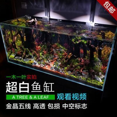 龍魚缸底部的垃圾怎么清理視頻，如何清理龍魚缸底部的垃圾