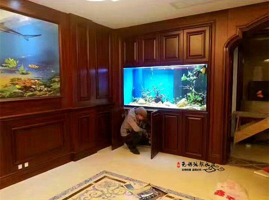 高檔龍魚缸，如何打造一個既實用又美觀的高檔龍魚缸