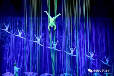 養銀龍魚溫度多少適宜(養銀龍魚水溫多少合適)