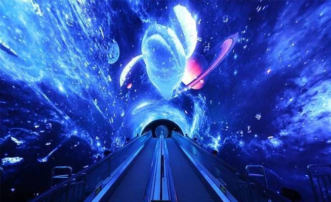 水族館哪里的比較好玩一點（上海海洋水族館親子活動安排）
