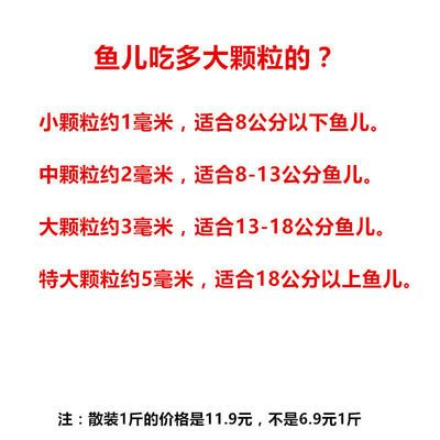 8公分的虎魚喂什么飼料：8公分的虎魚在喂食時(shí)有多種選擇，包括活食、冷凍食物和餌料飼料 8公分的虎魚喂什么飼料：8公分的虎魚在喂食時(shí)有多種選擇，包括活食、冷凍食物和餌料飼料 虎魚百科 第1張