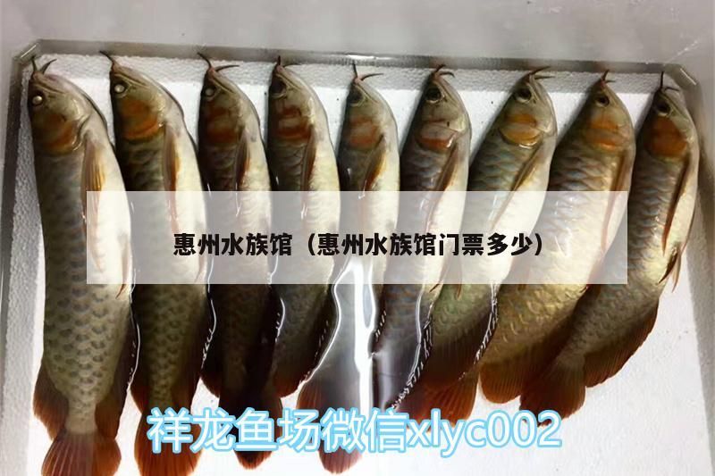 惠州水族館（惠州水族館門票多少）