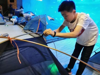 水族館搭建（關于水族館搭建的詳情）