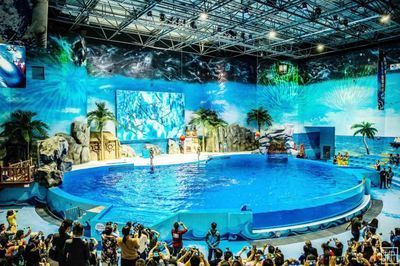 水族館搭建（關于水族館搭建的詳情）