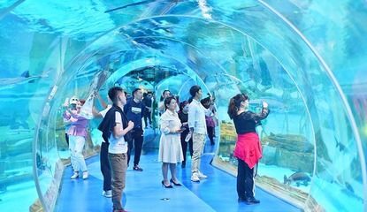 水族館搭建（關于水族館搭建的詳情）