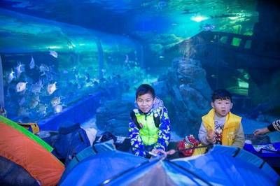 水族館搭建（關于水族館搭建的詳情）